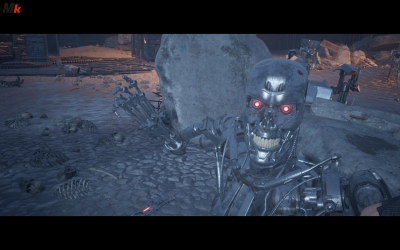 Terminator Resistance