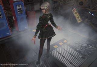 EVE - Styl załogowy